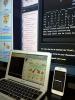 three_different_devices_connected_to_a_mud_via_different_telnet_clients_t1.jpg